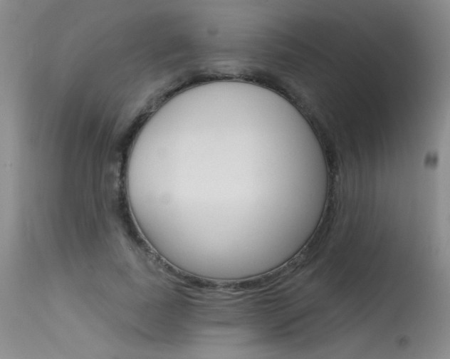 X0000115730739200911121125