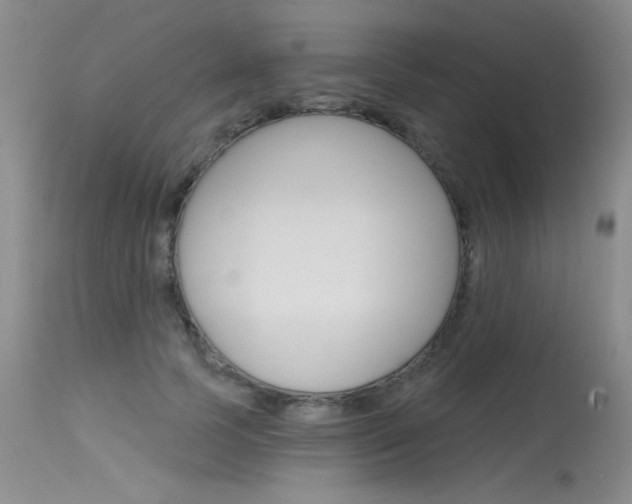 X0000115730745200911121125