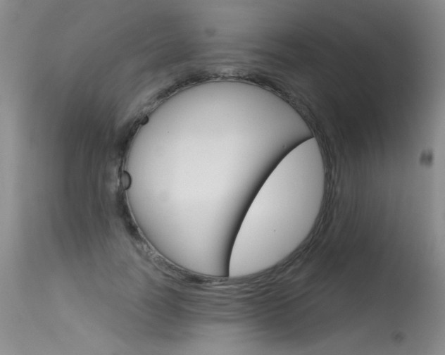 X0000115730746200911121125