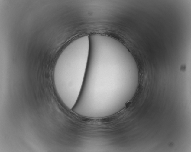 X0000115730747200911121125