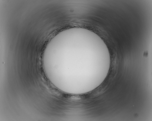 X0000115730749200911121125