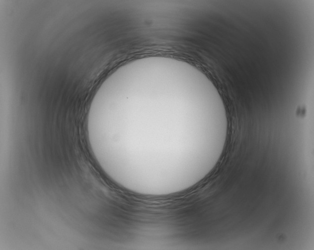 X0000115730750200911121125