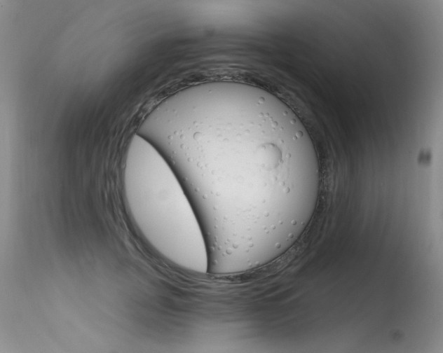 X0000115730751200911121125