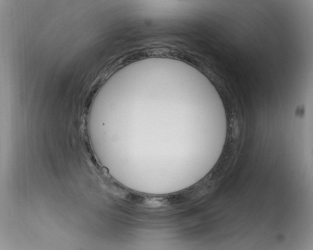 X0000115730753200911121125