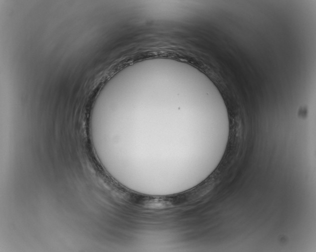 X0000115730754200911121125