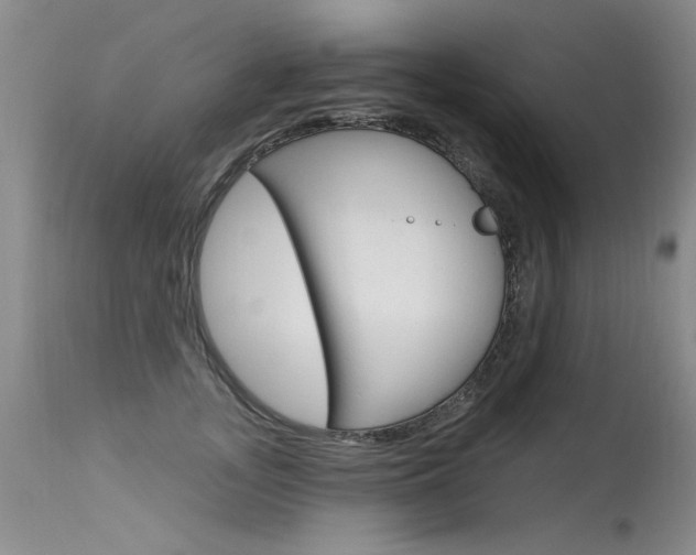X0000115730755200911121125
