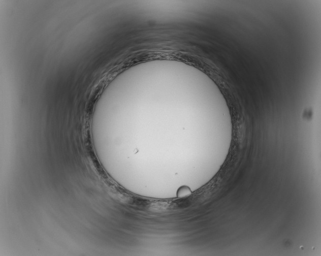 X0000115730757200911121125