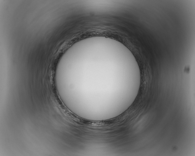 X0000115730758200911121125