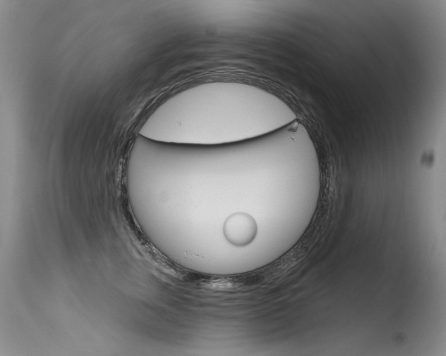 X0000115730759200911121125