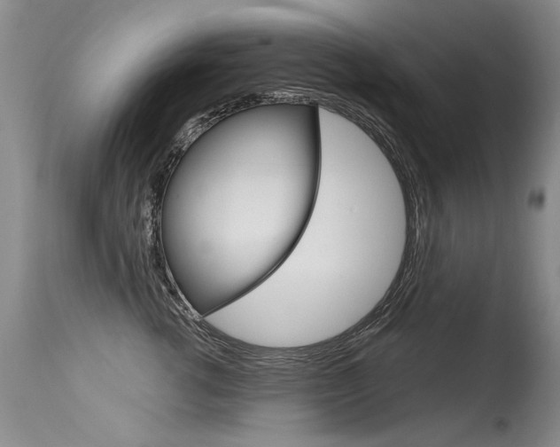X0000115730762200911121125