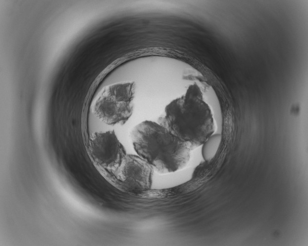 X0000115730765200911121125