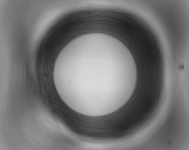 X0000115730766200911121125