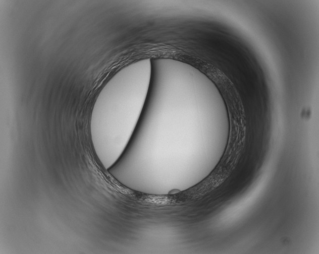 X0000115730767200911121125
