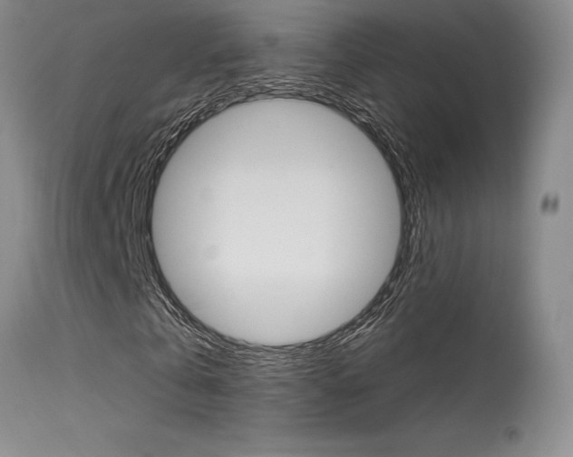 X0000115730769200911121125