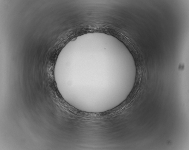 X0000115730770200911121125