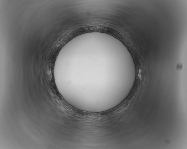 X0000115730771200911121125