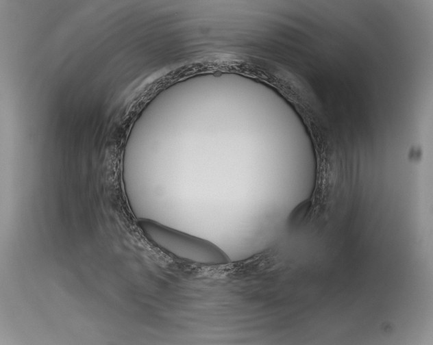 X0000115730773200911121124
