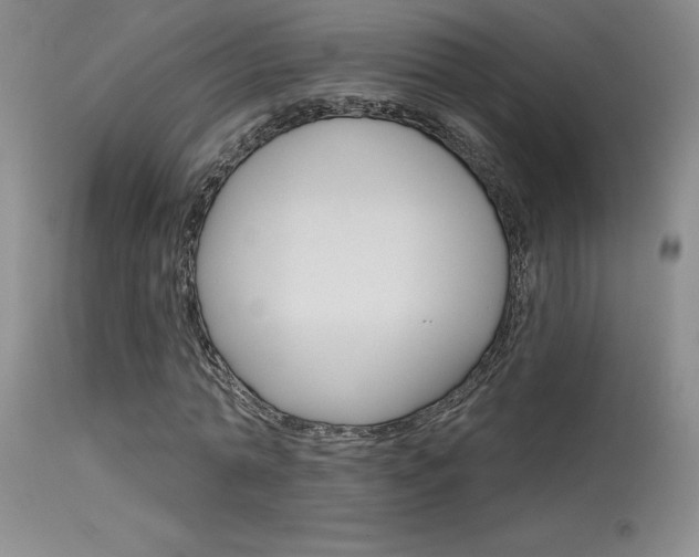 X0000115730774200911121124