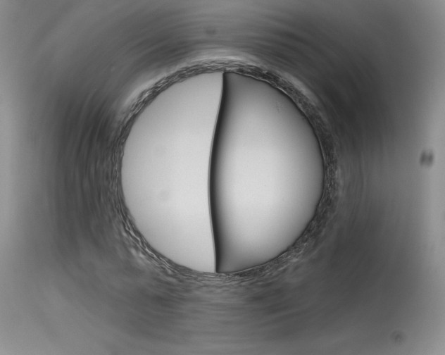 X0000115730775200911121124