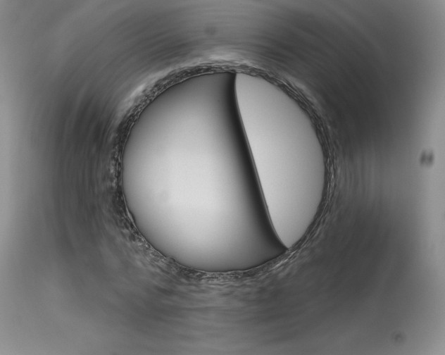 X0000115730776200911121124
