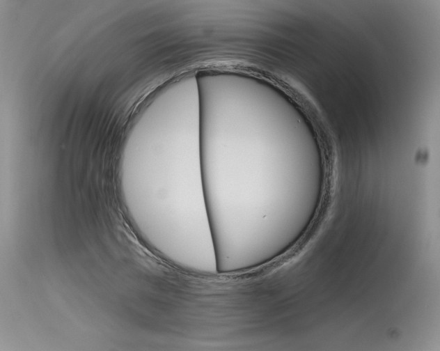 X0000115730777200911121124