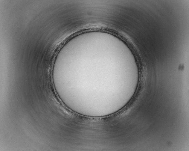 X0000115730778200911121124