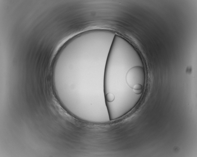 X0000115730779200911121124