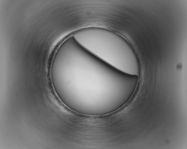 X0000115730780200911121124