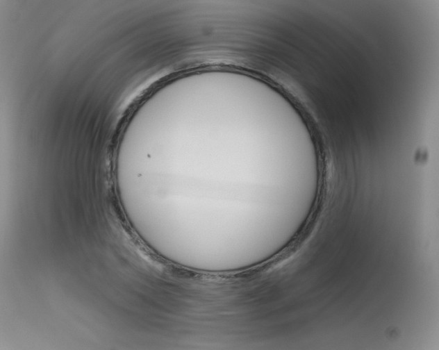 X0000115730782200911121124