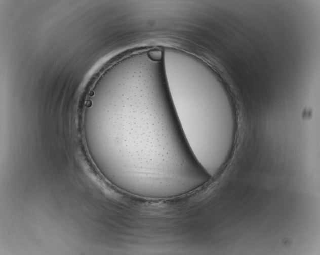 X0000115730784200911121124