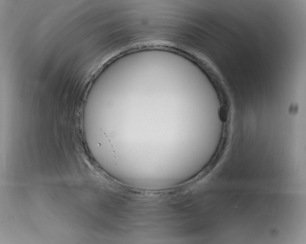 X0000115730785200911121124