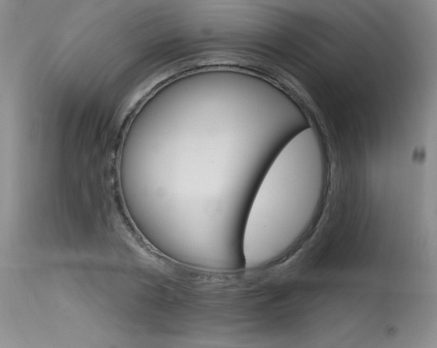 X0000115730786200911121124