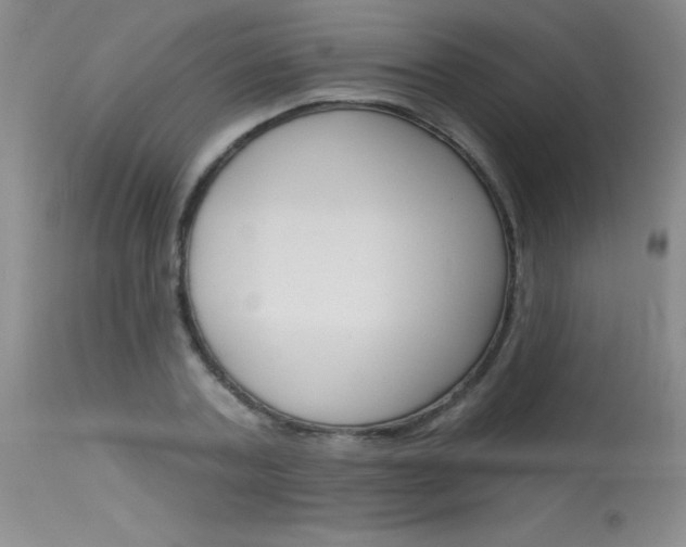 X0000115730787200911121124