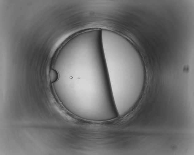 X0000115730788200911121124