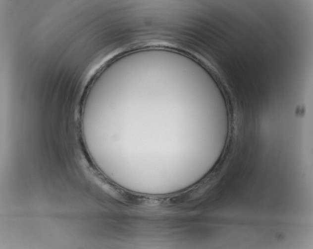 X0000115730790200911121124