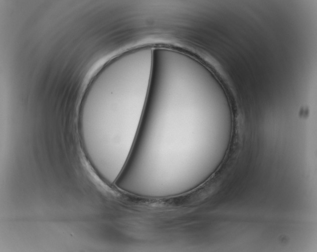X0000115730791200911121124