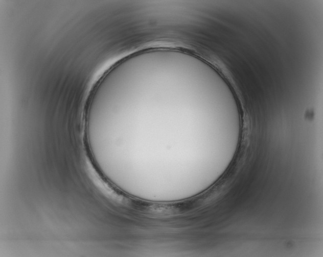 X0000115730795200911121124