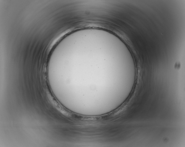 X0000115730798200911121124