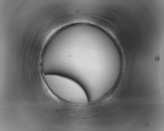 X0000115730799200911121124
