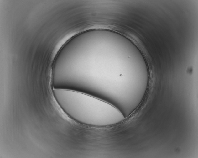 X0000115730804200911121124