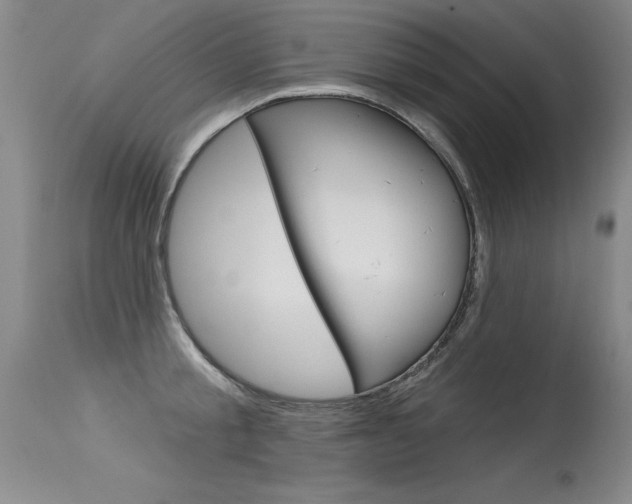 X0000115730805200911121124