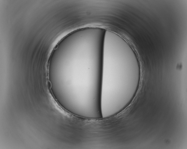 X0000115730808200911121124