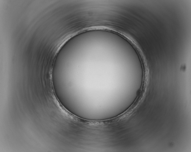 X0000115730809200911121124
