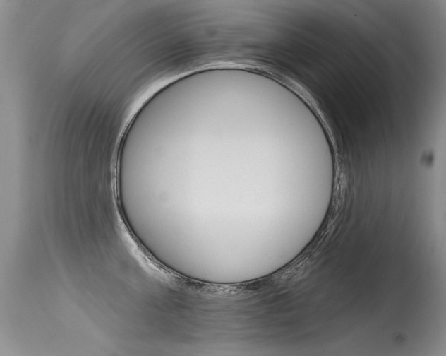 X0000115730811200911121124