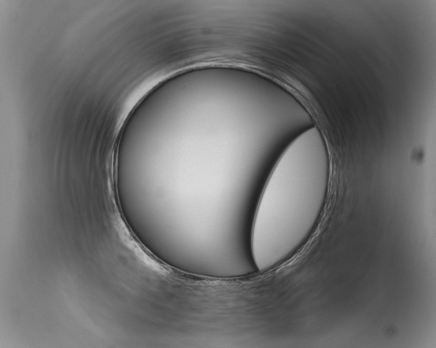 X0000115730812200911121124
