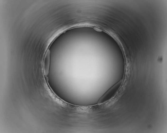 X0000115730813200911121124