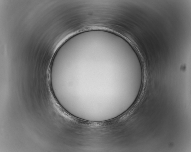 X0000115730814200911121124