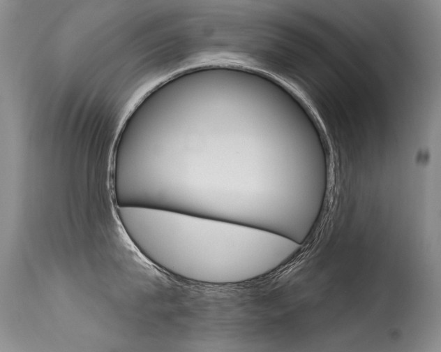 X0000115730815200911121124
