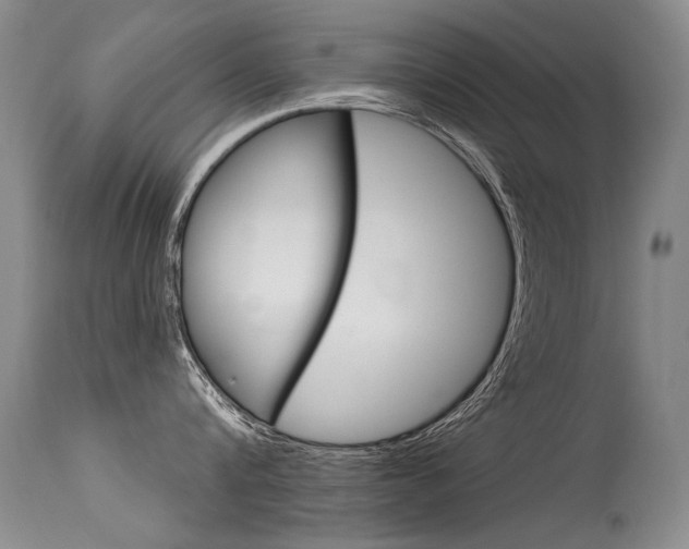 X0000115730816200911121124