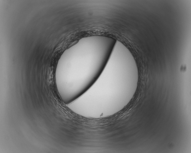 X0000115730818200911121123